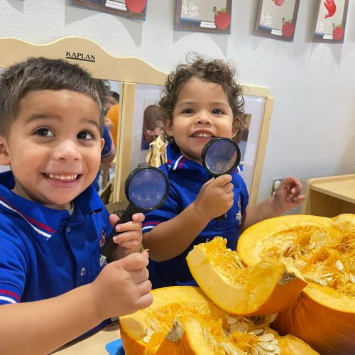 306778983_514779150647719_442871209047312771_n